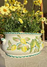 Load image into Gallery viewer, Portuguese footbath style hand painted planter