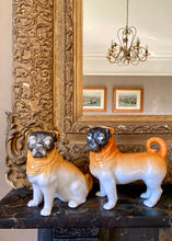 Load image into Gallery viewer, A pair of decorative ceramic pugs