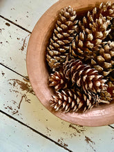 Load image into Gallery viewer, A selection of 5 outsized fir cones
