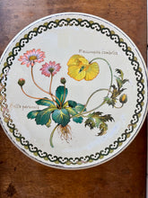 Load image into Gallery viewer, Botanical cake tin by Baret Ware