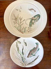 Load image into Gallery viewer, A Johnson Bros. bowl and fish plate