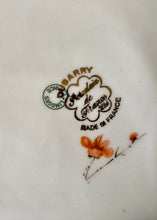 Load image into Gallery viewer, Limoges France for Dubarry porcelain square dish