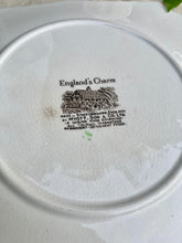 Load image into Gallery viewer, Myott, Son & Co's England's Charm cheese platter