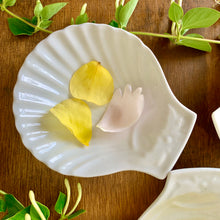 Load image into Gallery viewer, White scallop shell dish