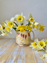 Load image into Gallery viewer, Crown Devon Fielding's hand painted jug