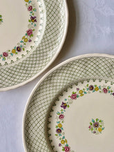 Load image into Gallery viewer, Mason's Ironstone pair of Madrigal plates
