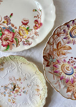 Load image into Gallery viewer, Crown Pottery embossed design botanical plate
