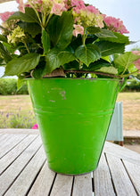 Load image into Gallery viewer, Summer green vintage bucket/planter
