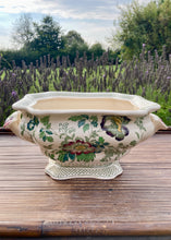 Load image into Gallery viewer, Mason&#39;s &#39;Strathmore&#39; twin handled vase/planter
