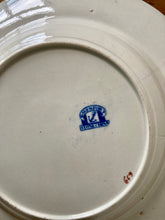 Load image into Gallery viewer, Antique Davenport Stone China decorative dish
