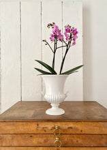 Load image into Gallery viewer, Wedgwood Barlaston of Etruria large white urn vase
