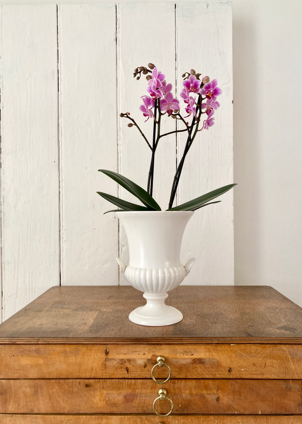 Wedgwood Barlaston of Etruria large white urn vase