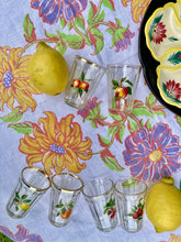 Load image into Gallery viewer, A set of 6 Italian fruity shot glasses
