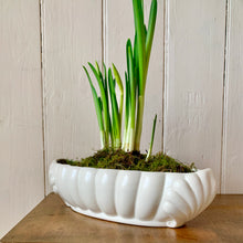 Load image into Gallery viewer, Beswick Ware white mantle vase with scallop shell ends
