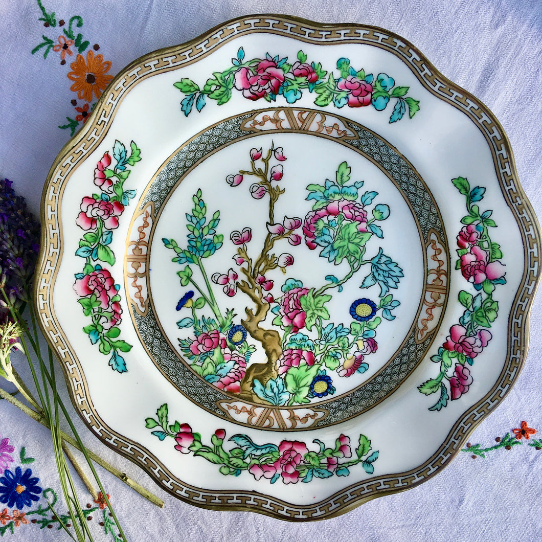 Coleport Indian Tree dinner plate