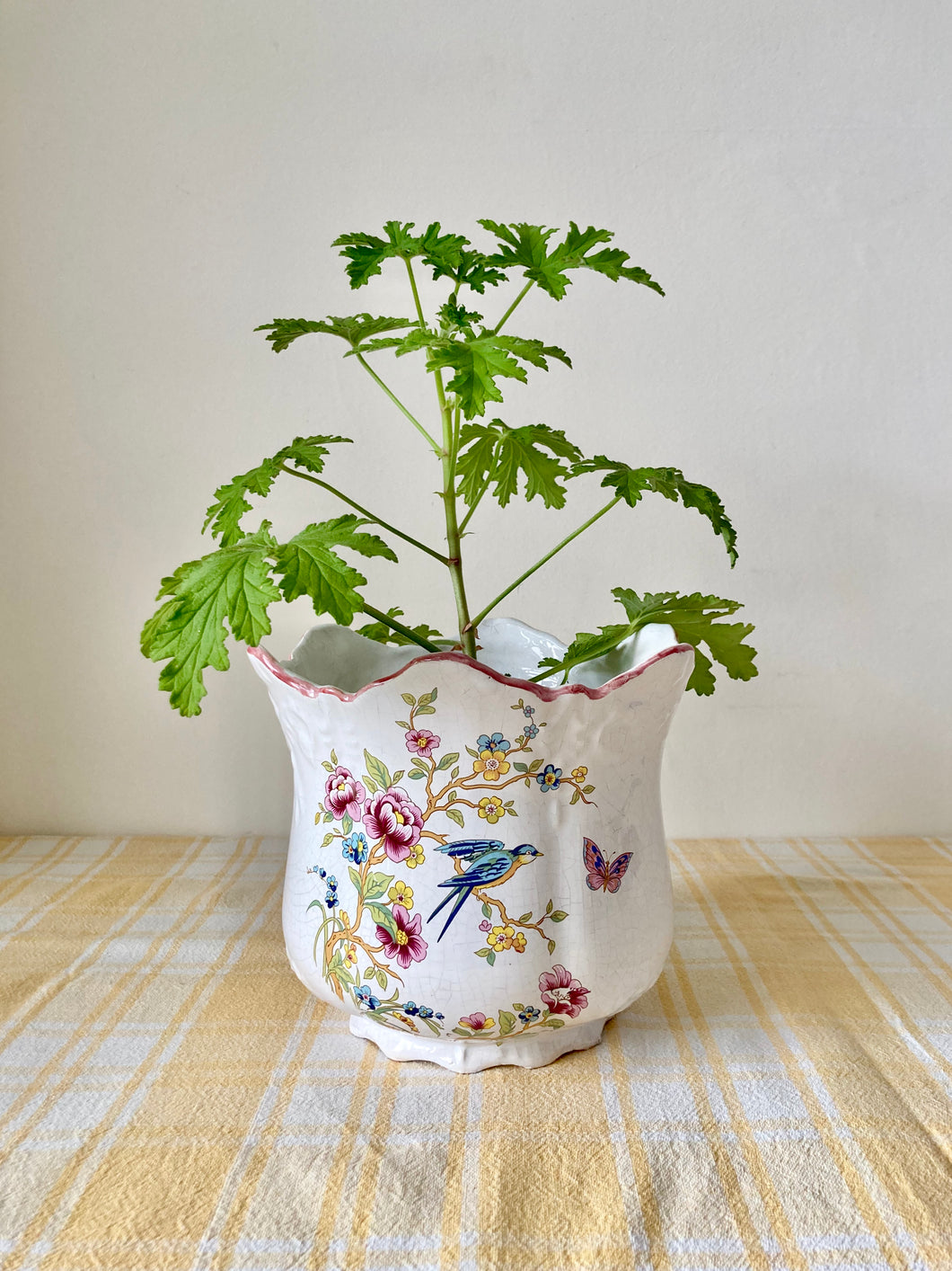 Beautiful botanical planter by Allen Meeson, Stoke on Trent