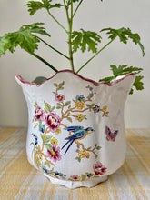 Load image into Gallery viewer, Beautiful botanical planter by Allen Meeson, Stoke on Trent
